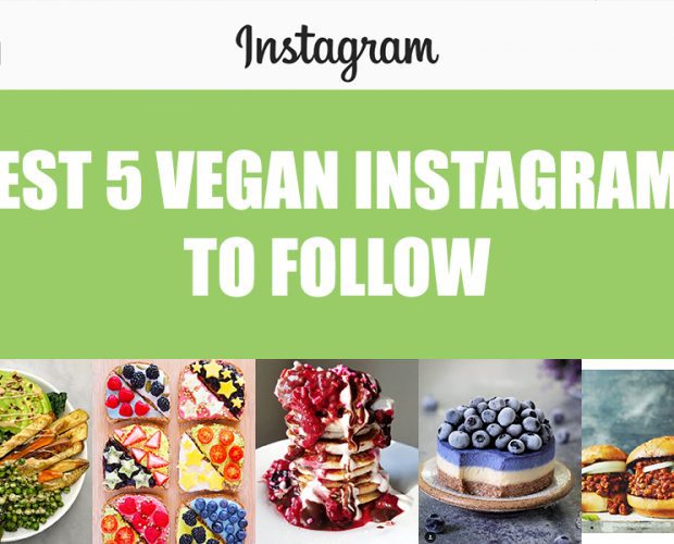 Best 5 Vegan Instagrams to Follow