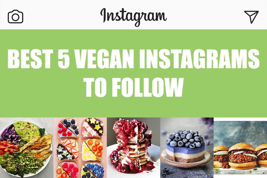 Best 5 Vegan Instagrams to Follow